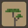 Deeper Acacia