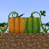 Toasty's Gourd-geous Gourds