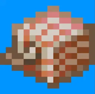 Nautilus armor shell