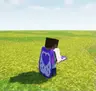 Elytra texture without cape(Purple Heart)