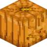 Better Carved Pumpkin
