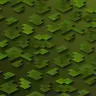 Greener Leaf Litter