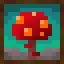 V&V's Variated Mushrooms
