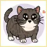 OIIA Cats (FULL SPEED)