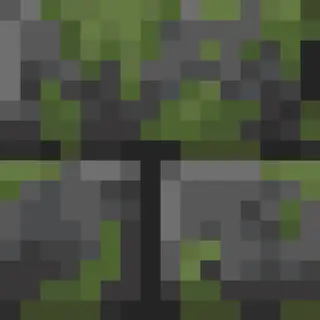 Mossy Deepslate Bricks