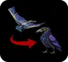 Phantoms to Ravens