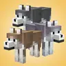 More Wolves