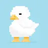 The Duck Pack