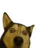 Haski totem
