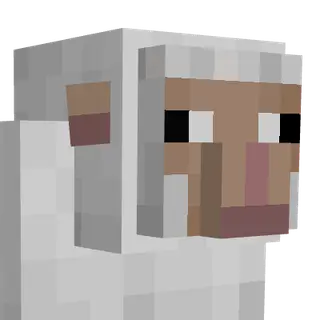 Kassy's Sheeps