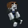 Roblox T