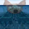 Elden Dog Jump-scare (Optifine)