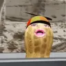Theburntpeanut Totem of Undying
