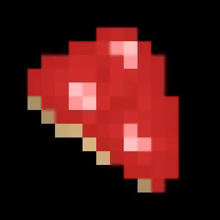 Fresh mushrooms