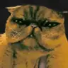 cat from I'm not a Human