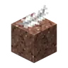 Softer Granite