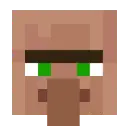 Really dumb villager