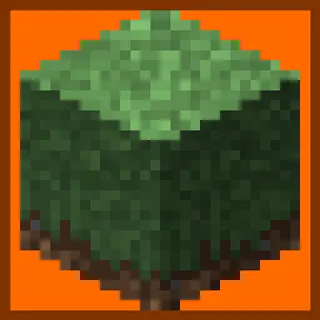 Shaggy Grass
