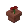 New Flower Pot