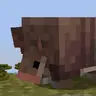 Refreshed armadillo