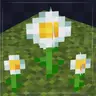 floweing