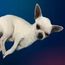 CuteDog totem