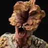 Clicker Zombies