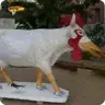 ChickenCow