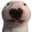 Minecraft But it's all Walter