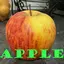 THE BIG APPLE