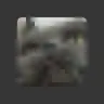 SmokeyWool