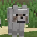 No Wolf Skin Variants