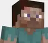 Survivor Skins