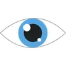 eye protection