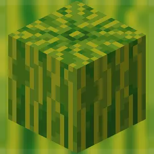 Make Melons Watermelon