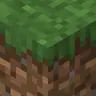 Forest Grass Everywhere!