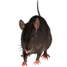 Ultimate rat