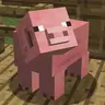 OldPigs