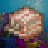 Cube Nautilus Shell