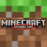 Minecraft Only