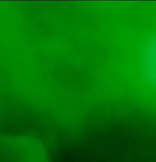 Green Resourspacks