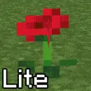 Spatial Cross Models Lite