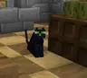 Green-Eyed Black Cats