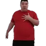 NicoTotem