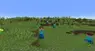 Steve creeper