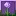 Better Allium