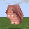 Armadillo Totem