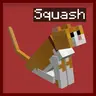Squash Cat