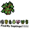 Find My Saplings