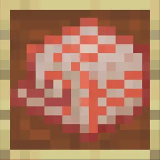 Consistant Nautilus Shell